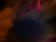 Animal xxx in the middle of the night with a sultry female